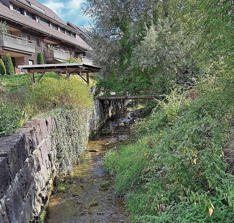 Am Jonenbach bei Rifferswil ist der Wasserlauf teilweise stark zurückgegangen. (Bild Angela Bernetta)