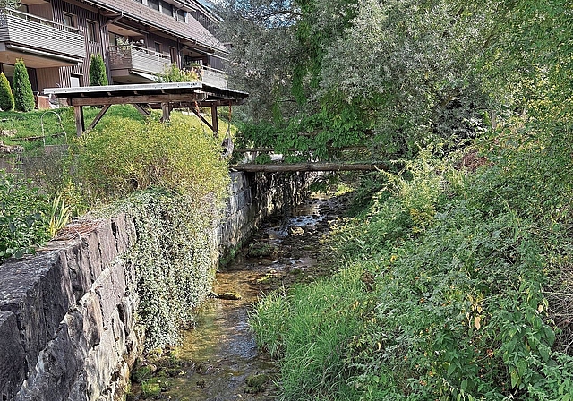 Am Jonenbach bei Rifferswil ist der Wasserlauf teilweise stark zurückgegangen. (Bild Angela Bernetta)