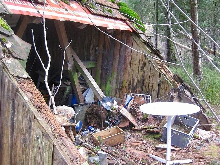 Die verfallene Torfhütte im «Chrutzelen» offenbart ihr Inneres: Von der Schallplatte bis zu Geschirr. (Bild Nepita Santiago)