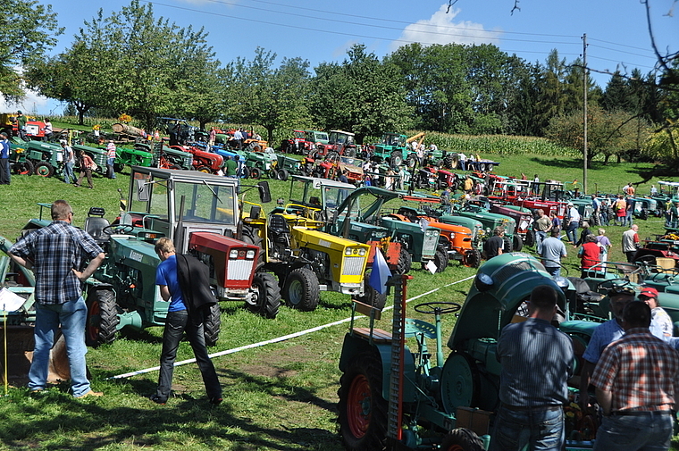 Gepflegt und schön aufgereiht am Hang im Sandacher in Zwillikon: Oldtimer-Modell von Kramer, aber auch andere Marken. (Bilder Werner Schneiter)