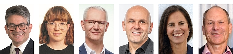 Diese Ämtler haben die Wahl in den Kantonsrat geschafft. Von links: Martin Haab (SVP), Hannah Pfalzgraf (SP), Ronald Alder (GLP), Daniel Sommer (EVP), Arianne Moser-Schäfer (FDP) und Thomas Schweizer (Grüne).