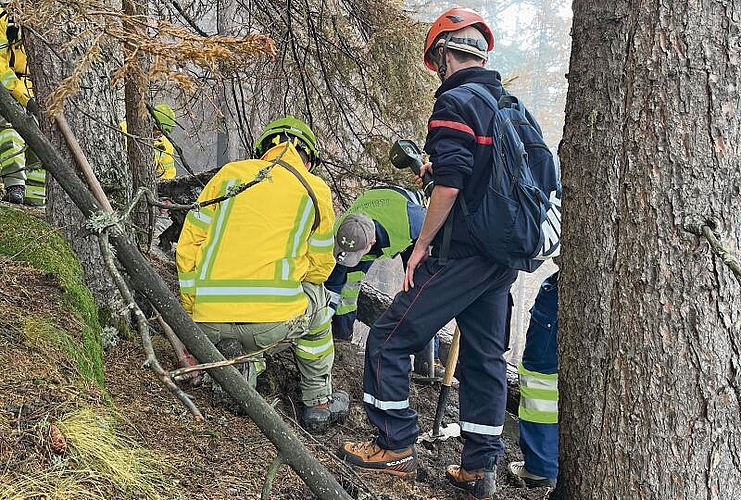 Die Glutnester verstecken sich teilweise tief im abschüssigen Waldboden.