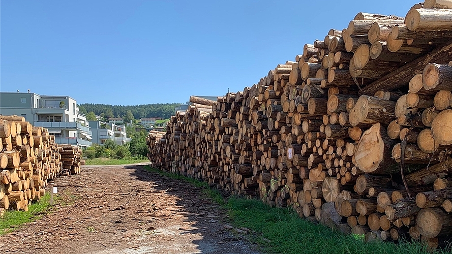 Unmengen von Holz türmen sich in Bonstetten auf.<em> (Bilder Stefan Schneiter)</em>
