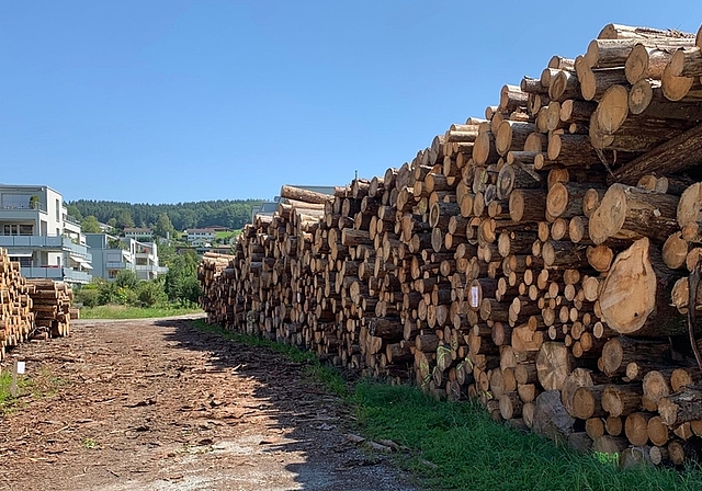 Unmengen von Holz türmen sich in Bonstetten auf.<em> (Bilder Stefan Schneiter)</em>