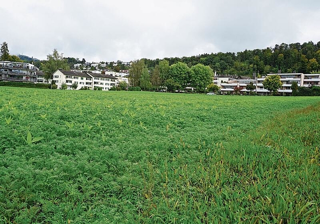 Auch hier im Gebiet Schachenweg/Bruggen in Wettswil wären gemäss dem räumlichen Entwicklungsleitbild dereinst Erneuerung und Weiterentwicklungen denkbar. (Bild Luc Müller)