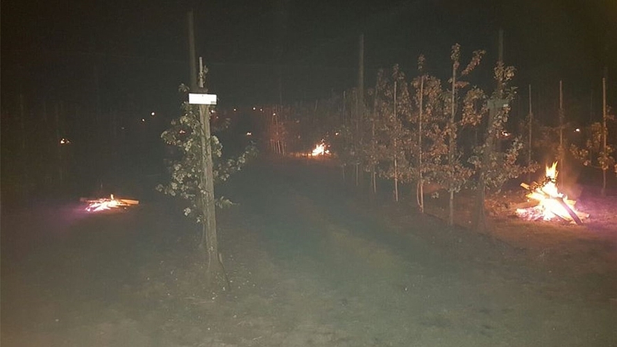 Robert Huber entzündete in den kalten Nächten Feuer in den Fahrgassen seiner Obstplantage. (Bild zvg.) Robert Huber entzündete in den kalten Nächten Feuer in den Fahrgassen seiner Obstplantage. (Bild zvg.)