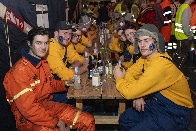 Feierfreudige am Maskenball in Maschwanden. (Bild Nico Ilic)