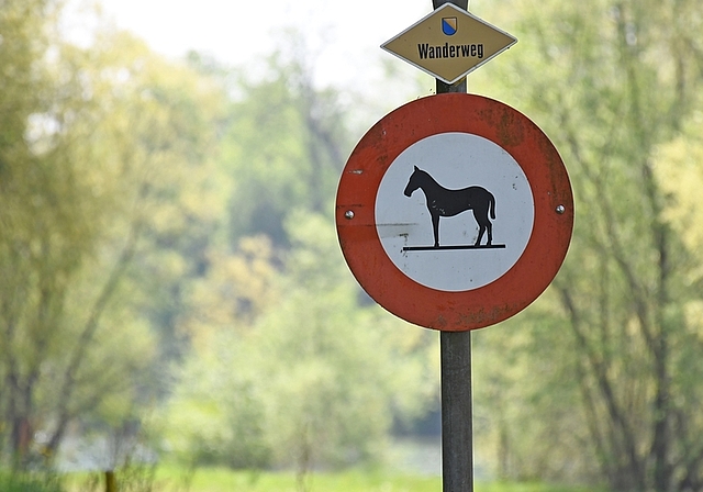 Das Amt für Landschaft und Natur ist der Meinung, dass die Reitverbote zwischen Obfelden und Ottenbach nicht nur für den Damm, sondern auch für die Reussebene gelten. Demnächst sollen neue Verbotsschilder aufstellt werden.<em> (Bild lhä)</em>