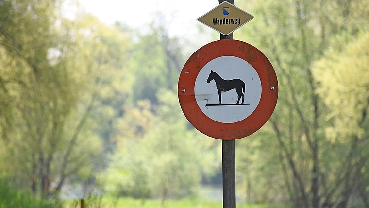 Das Amt für Landschaft und Natur ist der Meinung, dass die Reitverbote zwischen Obfelden und Ottenbach nicht nur für den Damm, sondern auch für die Reussebene gelten. Demnächst sollen neue Verbotsschilder aufstellt werden.<em> (Bild lhä)</em>