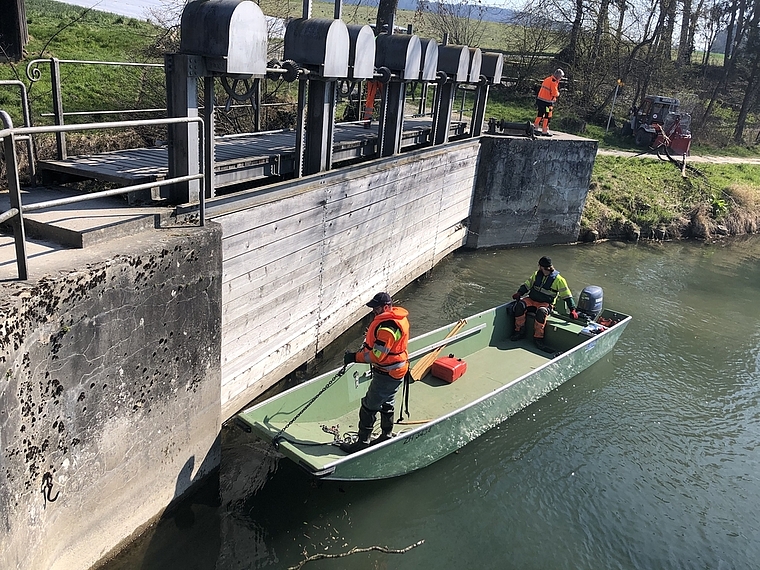 Abenteuerurlaub oder Arbeitseinsatz? Awel-Mitarbeiter im Spezialeinsatz beim Ottenbacher Wehr. (Bilder Christine Häusermann)