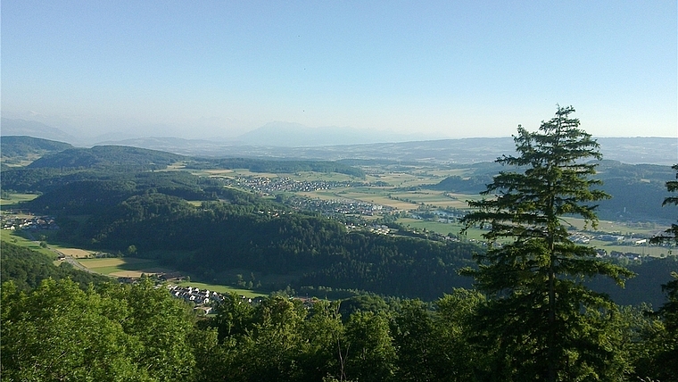 Viel Natur: 55,2% der Gesamtfläche wird im Knonauer Amt landwirtschaftlich genutzt. Zusammen mit der Wald- und Wasserfläche ergibt das 82% der Fläche des Säuliamts. Das Bild zeigt den Ausblick vom Üetliberg. (Bild zvg.)