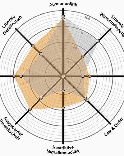 Smartspider-Grafik für den Vergleich der Meinungen. (Screenshot Smartvote)
