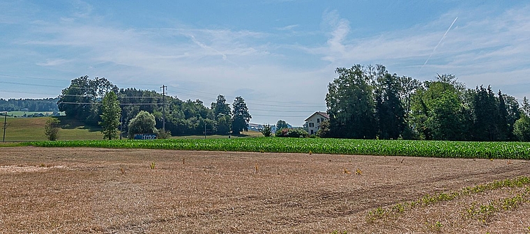 Zwischen den beiden Fotos, die vom fast gleichen Standpunkt aus gemacht wurden, liegen nur gerade sechs Wochen. Links das Gelände, wie es sich heute präsentiert, und rechts am Sonntag, den 17. Mai, als das Zürcher Kantonale 5150 Zuschauerinnen und