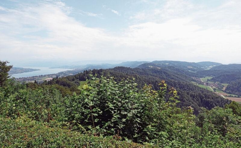 Der Üetliberg diente wohl bereits seit vorgeschichtlichen Zeiten als Ausblick. Rechts von der Albiskette fällt der Blick auf Stallikon, links ist fast der ganze Zürichsee überblickbar.