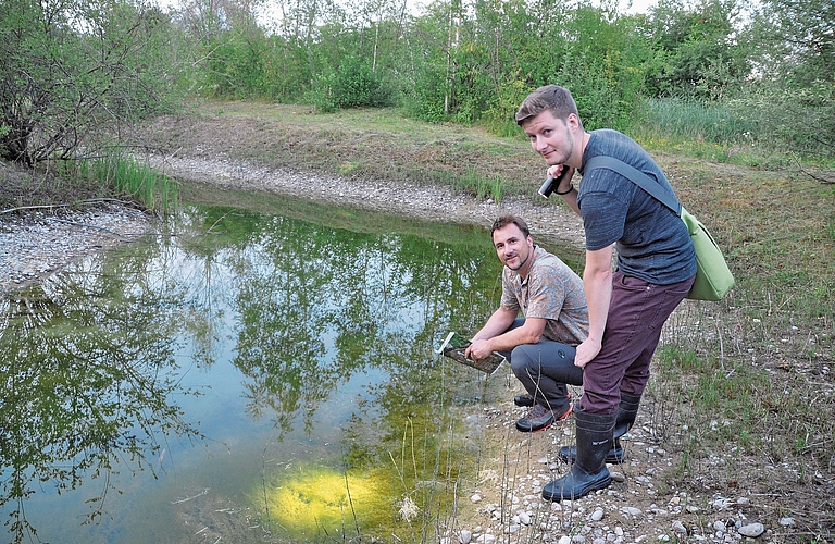 Mit der Taschenlampe auf der Suche nach Amphibien: Fachmann Nils Etter, der im Auftrag des Kantons Kartierungen vornimmt (vorne), und Stefan Rey, Leiter der Abteilung Natur und Landschaft. (Bilder Werner Schneiter) Mit der Taschenlampe auf der Suche nach Amphibien: Fachmann Nils Etter, der im Auftrag des Kantons Kartierungen vornimmt (vorne), und Stefan Rey, Leiter der Abteilung Natur und Landschaft. (Bilder Werner Schneiter)