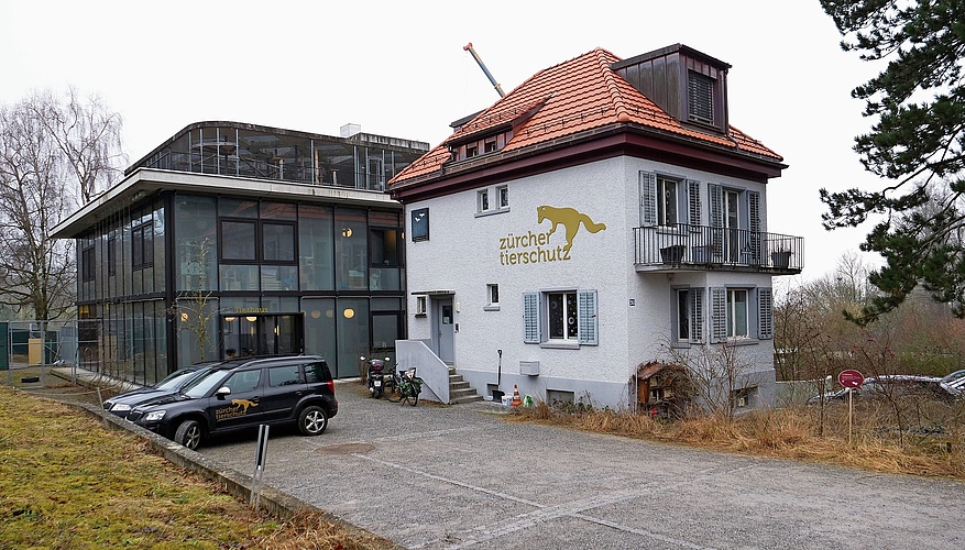 Das Tierheim des Vereins Zürcher Tierschutz liegt direkt neben dem Züri Zoo.