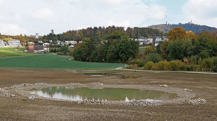 Der neu angelegte Weiher soll vor allem Laubfrösche anziehen. (Bild Angela Bernetta)