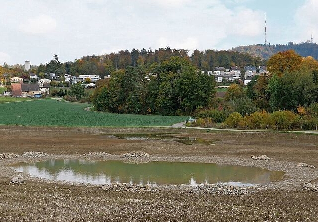 Der neu angelegte Weiher soll vor allem Laubfrösche anziehen. (Bild Angela Bernetta)