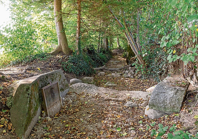 Führt schon seit rund drei Monaten kein Wasser mehr: der kleine Bach beim Hedinger Weiher. Durch das Gitter links wird normalerweise der Weiher mit Frischwasser versorgt.