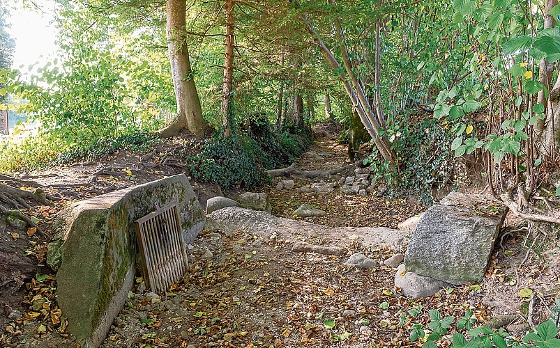 Führt schon seit rund drei Monaten kein Wasser mehr: der kleine Bach beim Hedinger Weiher. Durch das Gitter links wird normalerweise der Weiher mit Frischwasser versorgt. Führt schon seit rund drei Monaten kein Wasser mehr: der kleine Bach beim Hedinger Weiher. Durch das Gitter links wird normalerweise der Weiher mit Frischwasser versorgt.