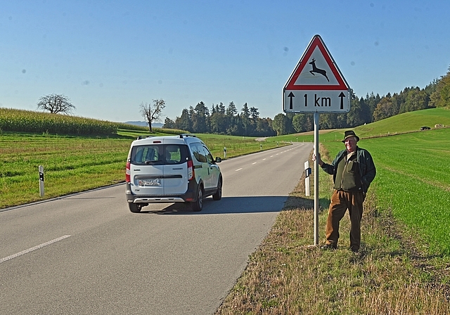Wildunfälle: Wildhüter René Ziegler bittet Fahrzeuglenker: «In der Dämmerung und nachts Fuss vom Gas!» (Bild Martin Mullis)