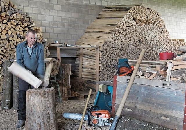 Gutes Brennholz: trocken, naturbelassen und genügend fein gespalten. (Bild Christoph Rutschmann, Holzenergie Schweiz)