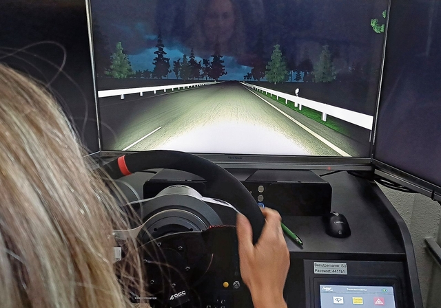 Siw Hasler-Chresta empfiehlt die Schulung am Fahrsimulator: Stressfrei und absolut ungefährlich. Hier wird beispiels-weise das Fahren bei unterschiedlichen Wetterbedingungen und Tageszeiten simuliert. (Bilder Regula Zellweger)