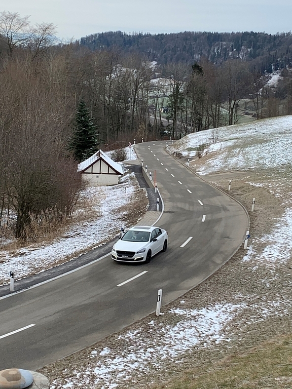 Die Bucheneggstrasse wird gern als Raserstrecke missbraucht – sehr zum Ärger der Anwohner. (Bild Stefan Schneiter)