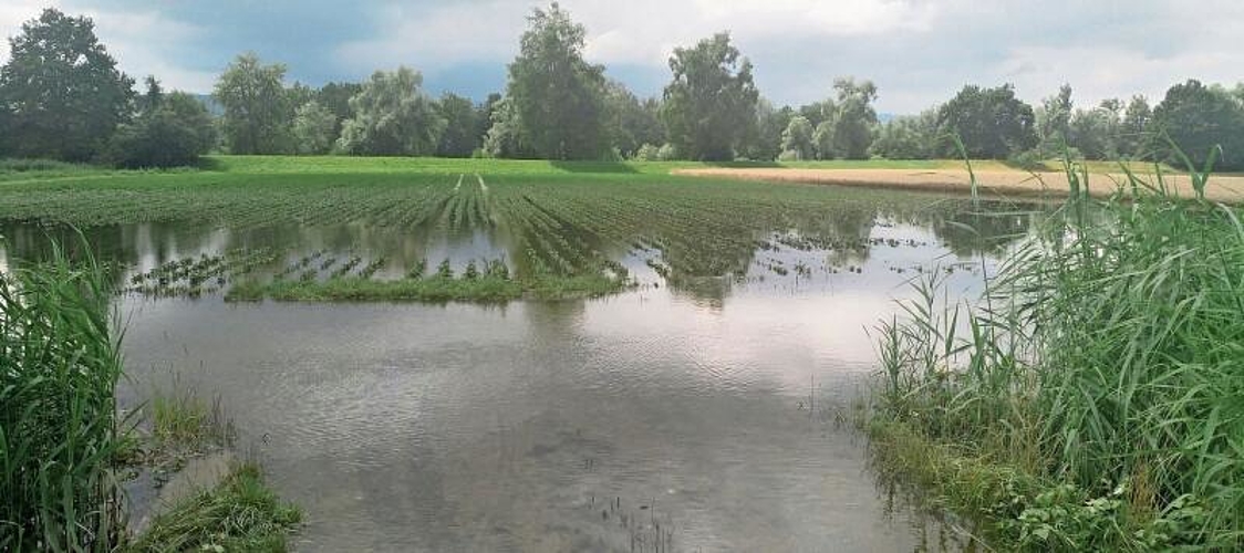 Hochwasser zwischen dem sogenannten Giessengraben und der Reuss im Juli 2021. Blick auf die von Roland Moser 
an die Holzkorporation Unterlunnern verkauften Parzellen, die ackerbaulich genutzt werden. (Archivbild Werner Zbinden)