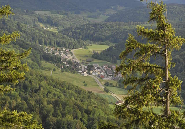 Laut Weltwoche ist Stallikon die verkehrstechnisch am besten erschlossene Gemeinde des Bezirks. (Bild Salomon Schneider)