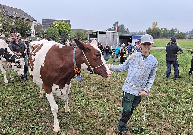 Livio Ehrler mit Grischa, «Miss Maschwanden 2026».