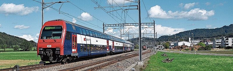 In der S14 bei Bonstetten hat der 26-jährige Österreicher grossen Schaden angerichtet, sodass die gesamte Komposition ausser Betrieb genommen werden musste. Dafür und wegen weiterer Delikte soll er für 20 Monate ins Gefängnis und für sieben Jah
