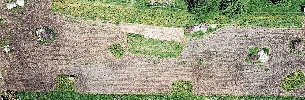 Auf 1,3 Hektaren entsteht in Ottenbach eine Biodiversitätsfläche. Mehr als 60 Blumen- und Gräserarten hat Kurt Hegetschweiler gesät. Auf einem zweiten Landabschnitt (nicht im Bild) ist eine Ruderalfläche geplant. (Bild Marcus Rundnagel)