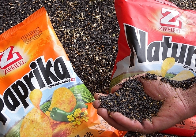 Die kleinen schwarzen Raps-Körner machen den Weg vom Säuliämtler Feld bis in den Pommes-Chips-Sack. <em>(Bild Marianne Voss)</em>