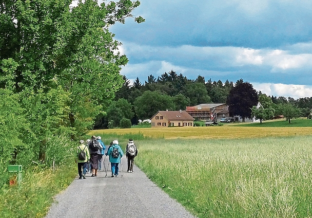 Die «Wandergruppe gemütlich» legte den Weg von Beinwil im Freiamt nach Merenschwand zurück. Nur kurz fiel etwas erfrischender Regen. (Bilder Regula Zellweger)