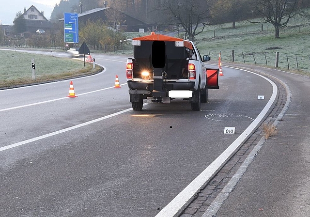 Das Unfallfahrzeug beim Autobahnanschluss Wettswil. (Bild Kapo ZH)