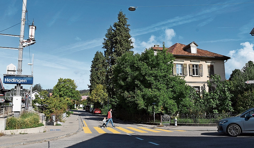 Blick vom Bahnübergang Hedingen auf die Magnolie (Bildmitte), die dem Quartier seinen Namen gibt. (Bild Livia Häberling) Blick vom Bahnübergang Hedingen auf die Magnolie (Bildmitte), die dem Quartier seinen Namen gibt. (Bild Livia Häberling)