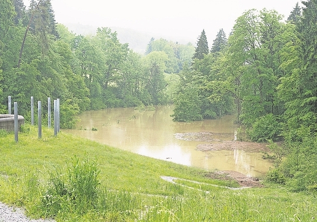 Hat den Regenfluten bisher problemlos standgehalten: Hochwasserrückhaltebecken in Affoltern. (Bild Peer Messerli)