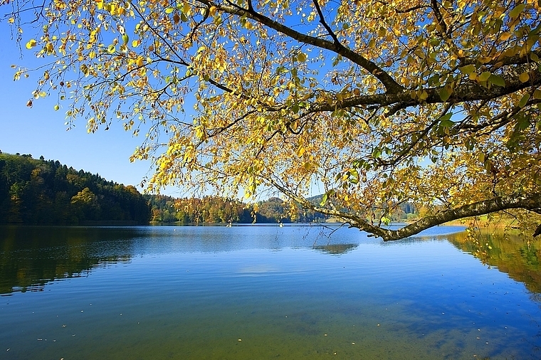 Wegen seiner windgeschützten Lage würde das Türlerseewasser höchstens alle paar Jahre zirkulieren. Deshalb wird seit 1987 eine Zirkulationsanlage betrieben. (Archivbild vom letzten Herbst)