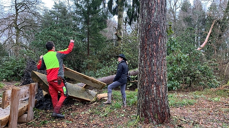 Obergärtner Silvan Fluder und Geschäftsleiterin Susanne Schmidt inspizieren die Schäden im Seleger Moor. <em>(Bild S. Schneiter) </em>