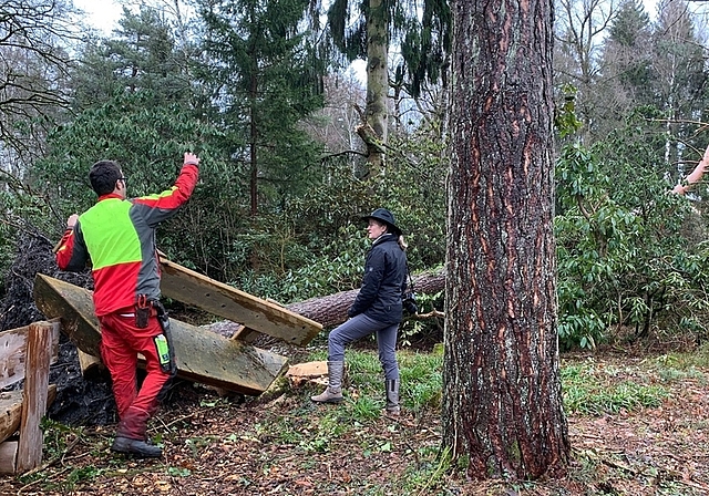 Obergärtner Silvan Fluder und Geschäftsleiterin Susanne Schmidt inspizieren die Schäden im Seleger Moor. <em>(Bild S. Schneiter) </em>
