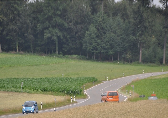 Das kantonale Tiefbauamt will diesen Sommer mit der Sanierung der Tambrigstrasse zwischen Maschwanden und Obfelden beginnen. <em>(Bild Werner Schneiter)</em>