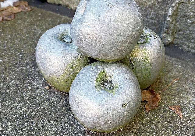 Das Objekt der Begierde: Das ApfelKunstwerk von Yves Netzhammer im kompletten Zustand. (Bild zvg)