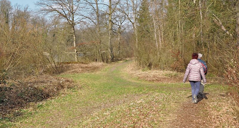 An dieser Stelle endet der Reussdamm. Er soll nun auf einer Länge von rund 650 Meter weitergezogen werden...