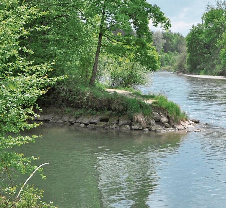Ein bis zum «Rüssspitz» verlängerter Hochwasserschutzdamm, Abholzung von Auenwald und bauliche Massnahmen? Gemäss Rechtsgutachten ist eine solche Variante nicht bewilligungsfähig. (Bild Werner Schneiter)