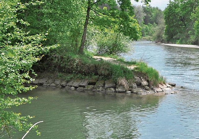 Ein bis zum «Rüssspitz» verlängerter Hochwasserschutzdamm, Abholzung von Auenwald und bauliche Massnahmen? Gemäss Rechtsgutachten ist eine solche Variante nicht bewilligungsfähig. (Bild Werner Schneiter)