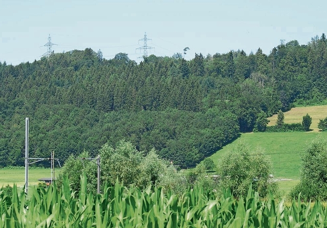 Das Gebiet Himelsbüel (Eignungsgebiet Nummer 38), gesehen aus der Ebene unweit von Hedingen. Die Freileitungs-masten befinden sich bereits auf Aargauer Gebiet, die zwei Windenergieanlagen kämen ungefähr im Waldbereich am rechten Bildrand (eventuel