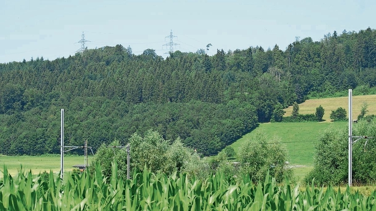 Das Gebiet Himelsbüel (Eignungsgebiet Nummer 38), gesehen aus der Ebene unweit von Hedingen. Die Freileitungs-masten befinden sich bereits auf Aargauer Gebiet, die zwei Windenergieanlagen kämen ungefähr im Waldbereich am rechten Bildrand (eventuel