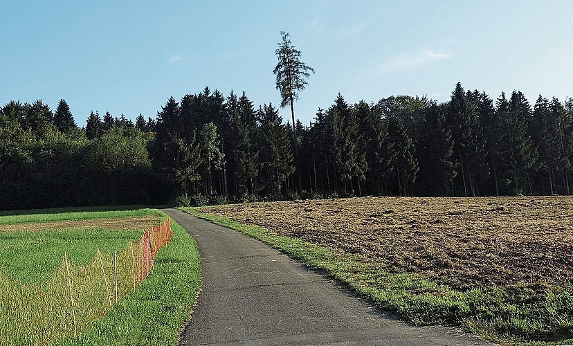 Bonstetten ist von den Eignungsgebieten Nummer 38 (Himelsbüel) und 51 (Birch) betroffen. (Bild Marcus Weiss) Bonstetten ist von den Eignungsgebieten Nummer 38 (Himelsbüel) und 51 (Birch) betroffen. (Bild Marcus Weiss)