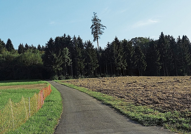 Bonstetten ist von den Eignungsgebieten Nummer 38 (Himelsbüel) und 51 (Birch) betroffen. (Bild Marcus Weiss)